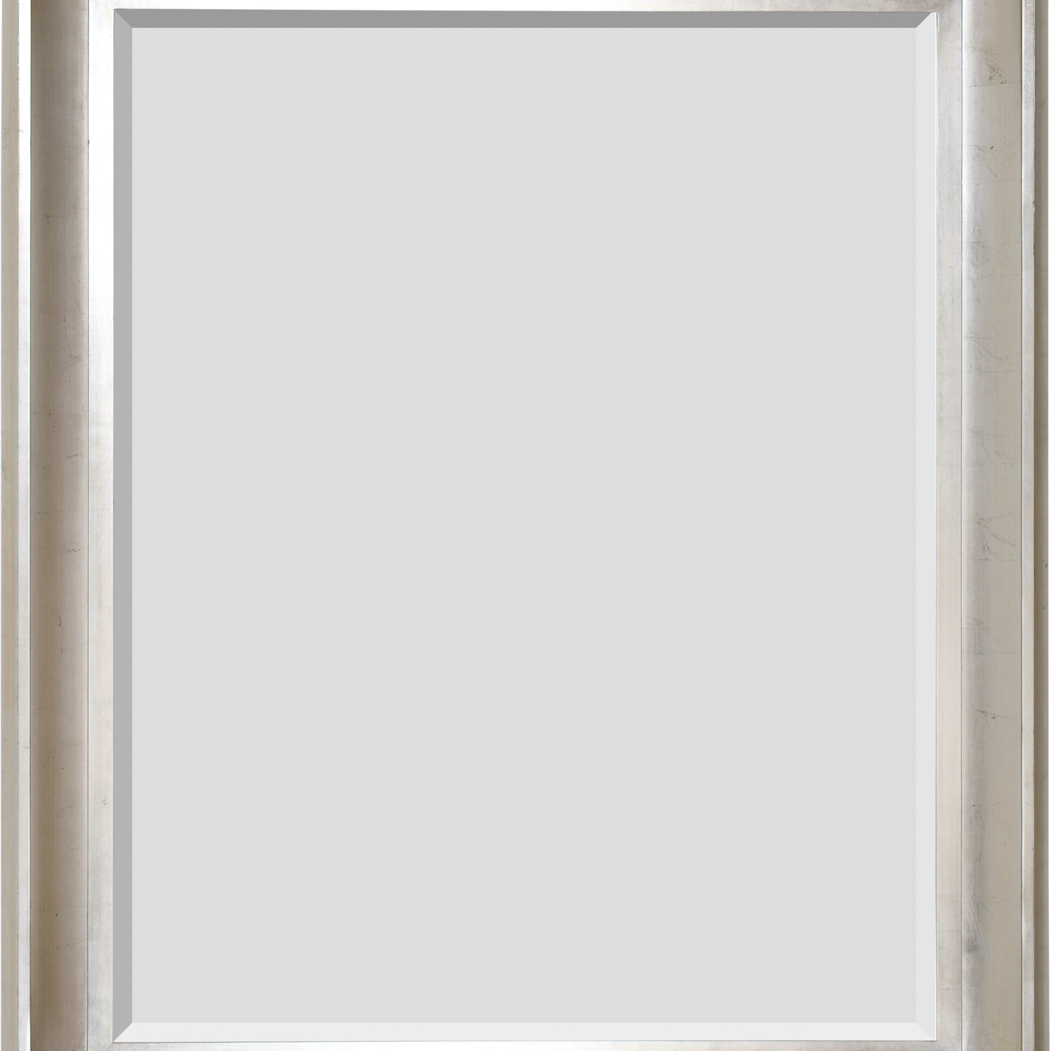 AFD Home The Sterling Mirror 48X60 Silver with Champagne Wash 11161213