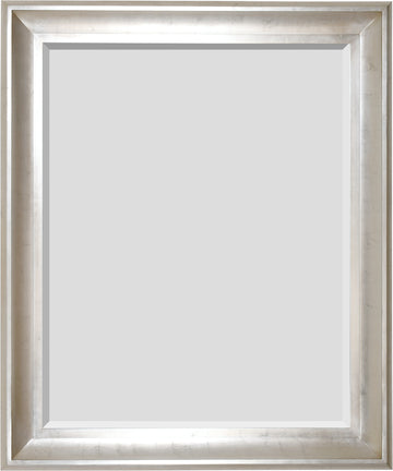 AFD Home The Sterling Mirror 48X60 Silver with Champagne Wash 11161213